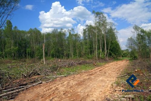 damaged forests